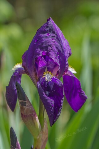 A 013