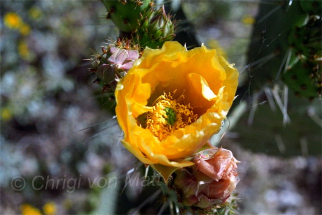 H 001