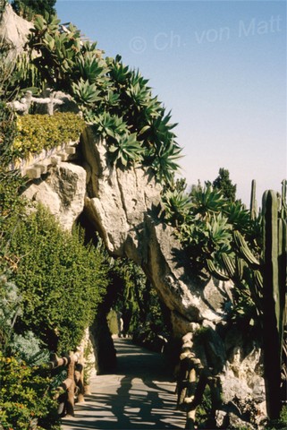 H 003