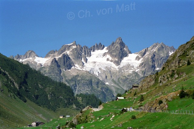 V 005