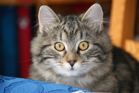 Mr. Murphy als jung Foto 4