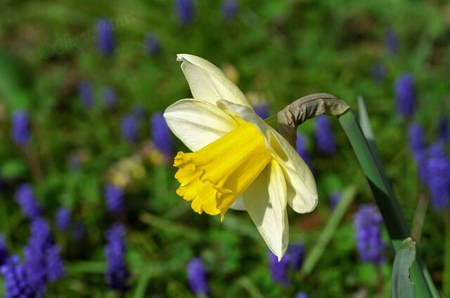 A 002