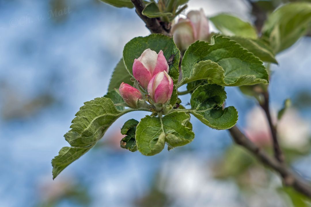 A 040