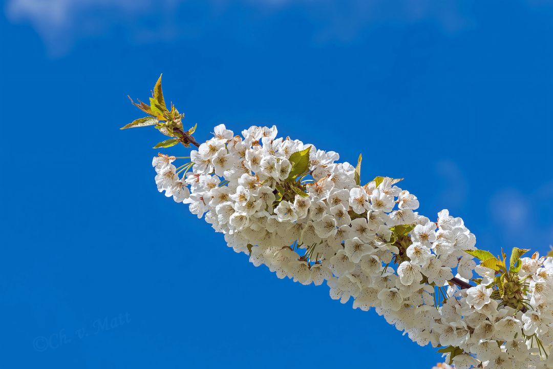 A 045