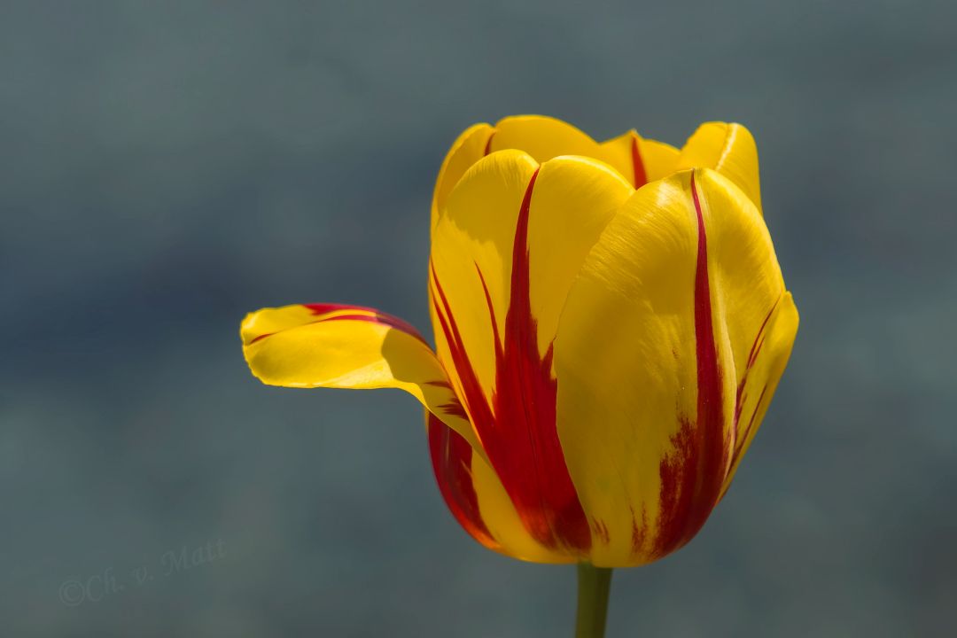 A 047