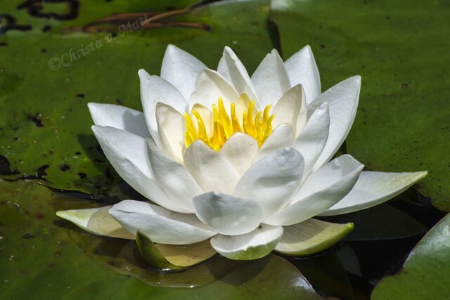 F 005