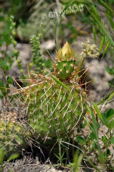 H 027