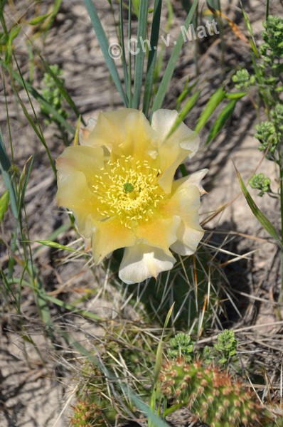 H 028
