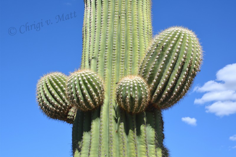 H 033