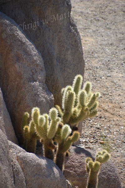 H 040