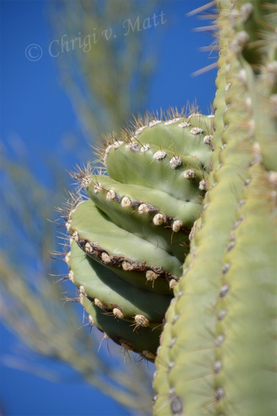 H 043