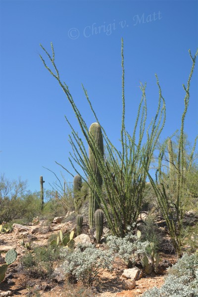 H 044