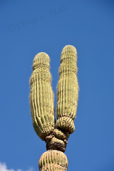 H 065