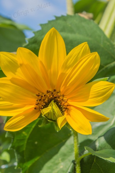 J 044
