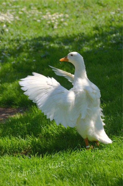 N 047