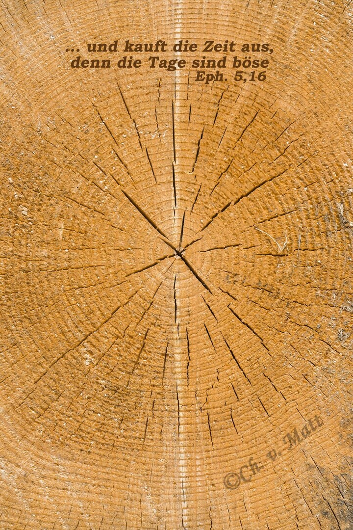 SP-J 016