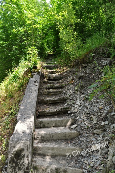 T 12